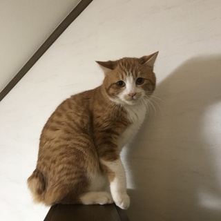 臆病な僕を家族にしてくれてありがとう。