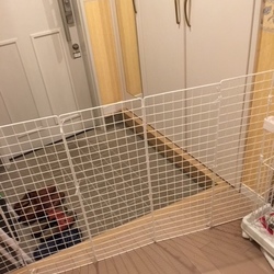 猫玄関飛び出し防止のストッパー