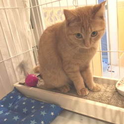 ちゃみご飯待ち