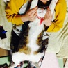 の写真