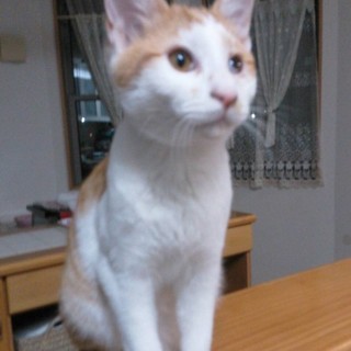 やんちゃな男の子 ♪ 4ヵ月