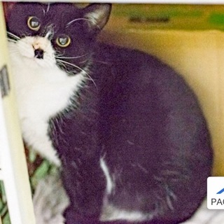 人のあとをついて回る甘えん坊