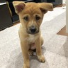 良いご縁に繋がりました。 サムネイル2