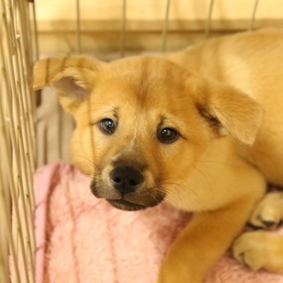 良いご縁に繋がりました。