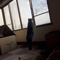 「三夜目トライアルの難所を乗り越えろ！」サムネイル2