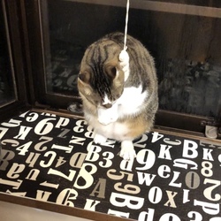 「三夜目トライアルの難所を乗り越えろ！」サムネイル3