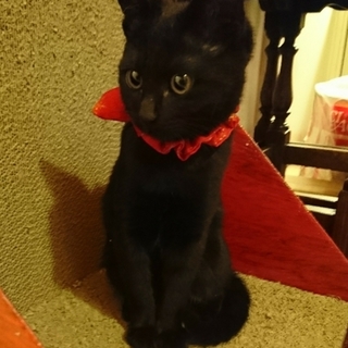 天真爛漫、甘えたさんの女の子♪