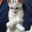 急募です！