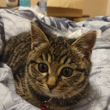 少しなれてきました