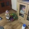 あつし0124