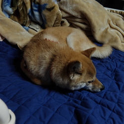 「意外とおてんば娘です（笑）。」サムネイル2