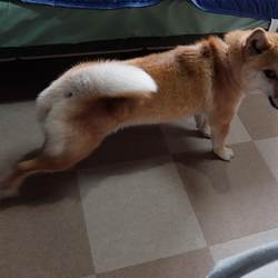 「意外とおてんば娘です（笑）。」サムネイル3