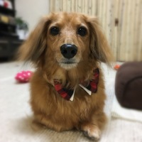 エコル