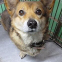 里親様決定しました。