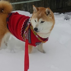 なんとも(;゜0゜)寒いw(゜o゜)w