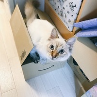 白