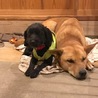 ありがとうございます サムネイル7