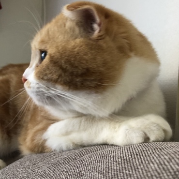 の写真