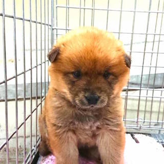 ☆素敵な家族ができました☆