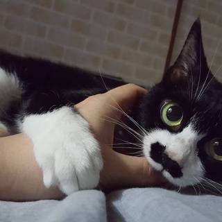 チョビヒゲが可愛い女の子です☆