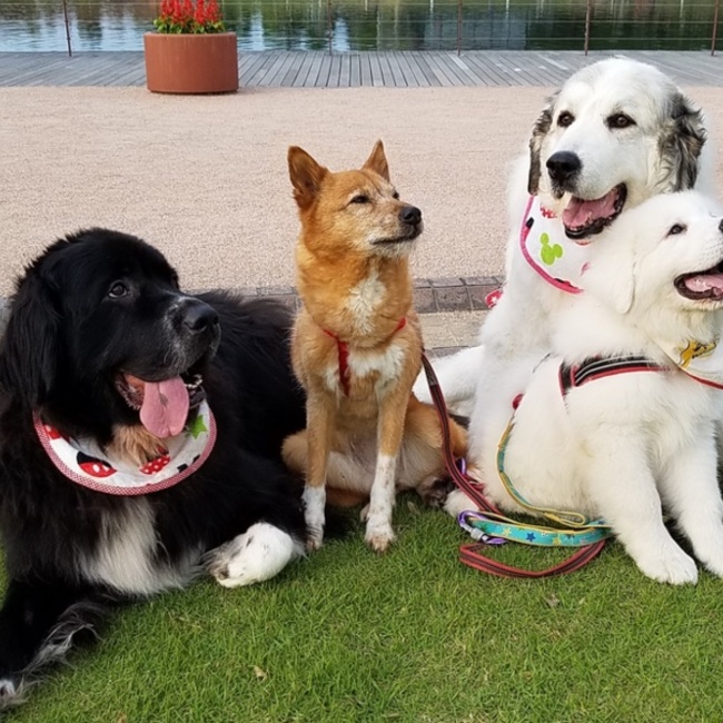 ぱんママのカバー写真