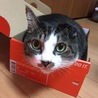 くらひと