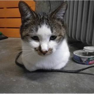 可愛い！可愛い！可愛いです！