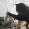 仲よくお手手つないでなにしてんのかな？  実は乱闘のひとコマですが。