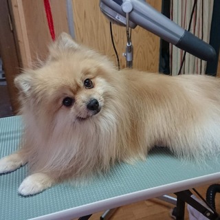 5歳くらい。美形のサトウくん