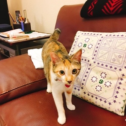 探検