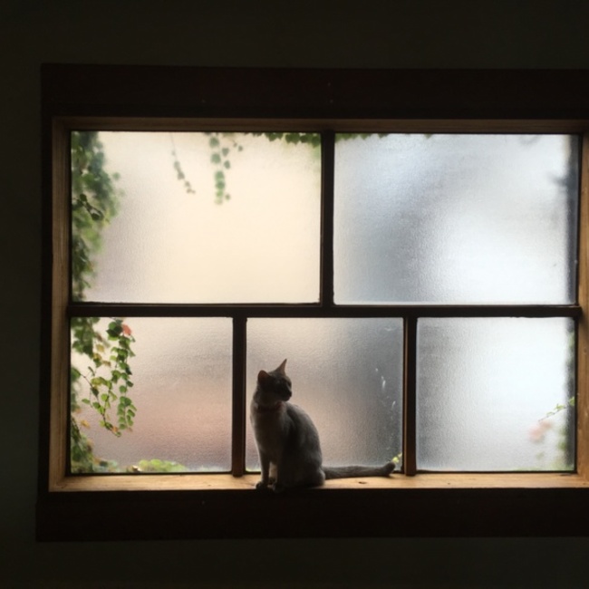 noiko0350のカバー写真