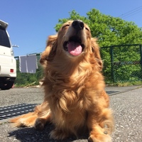 りり