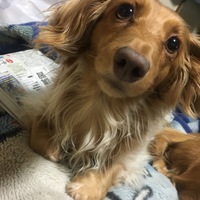 ちろる