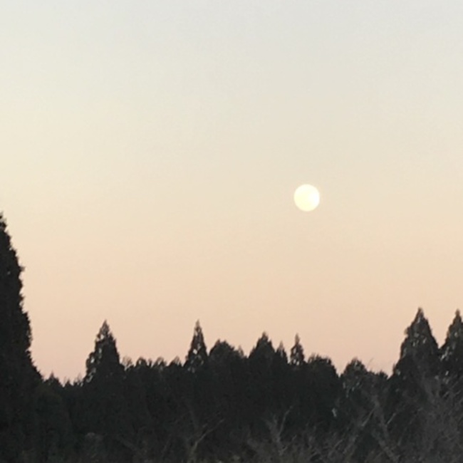 F.A.Bのカバー写真