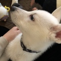 みなさん本当にありがとうございました！