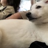 みなさん本当にありがとうございました！ サムネイル2