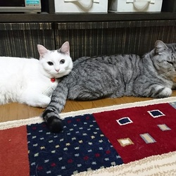  たまにはぼくも登場させてくれやby れん