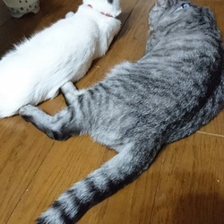 「 たまにはぼくも登場させてくれやby れん」サムネイル3