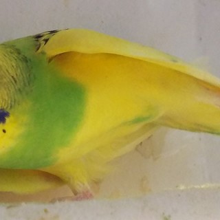 この度はありがとうございました。