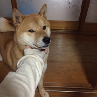 むく