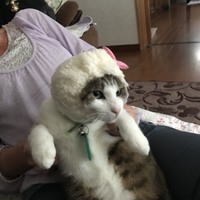 むぎ