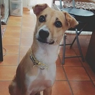 宮古島出身つぶらな瞳の女の子♪