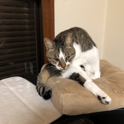 「鉄は熱いうちに」サムネイル2