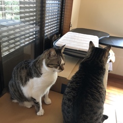 「鉄は熱いうちに」サムネイル3