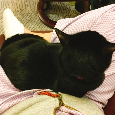 特等席、わたしお行儀悪くないんですけど、割り込まれて…