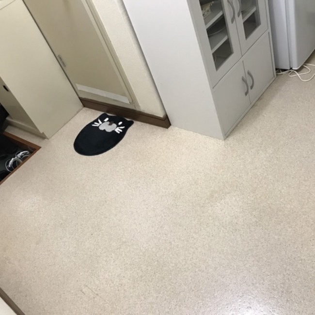 レイシーのカバー写真