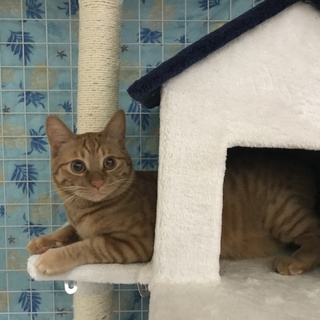 僕に優しい家族が見つかりました！！幸せになります☆