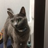 いつちママ