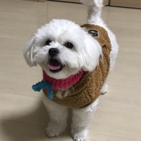 めい