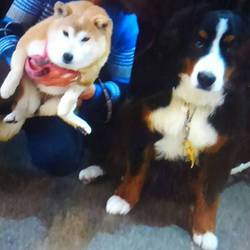 １周年お祝いその②